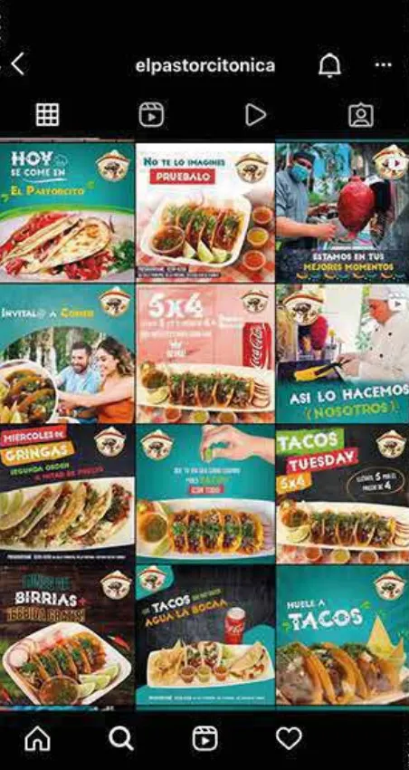 Feed de Instagram de El Pastorcito Nica con tacos, birrias y promociones en verde y rojo